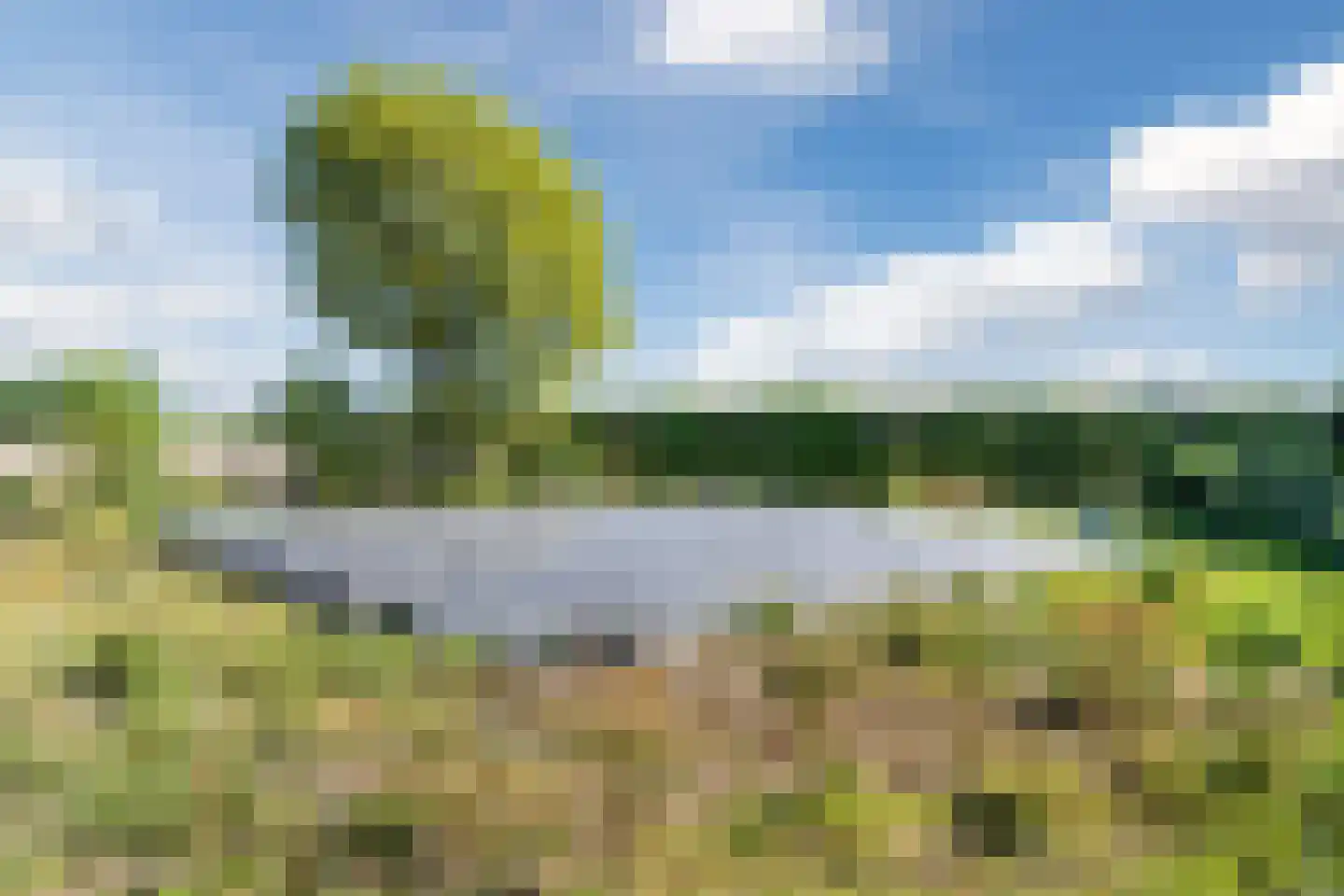 Langstraat 3 Venhorst thumbnail 61