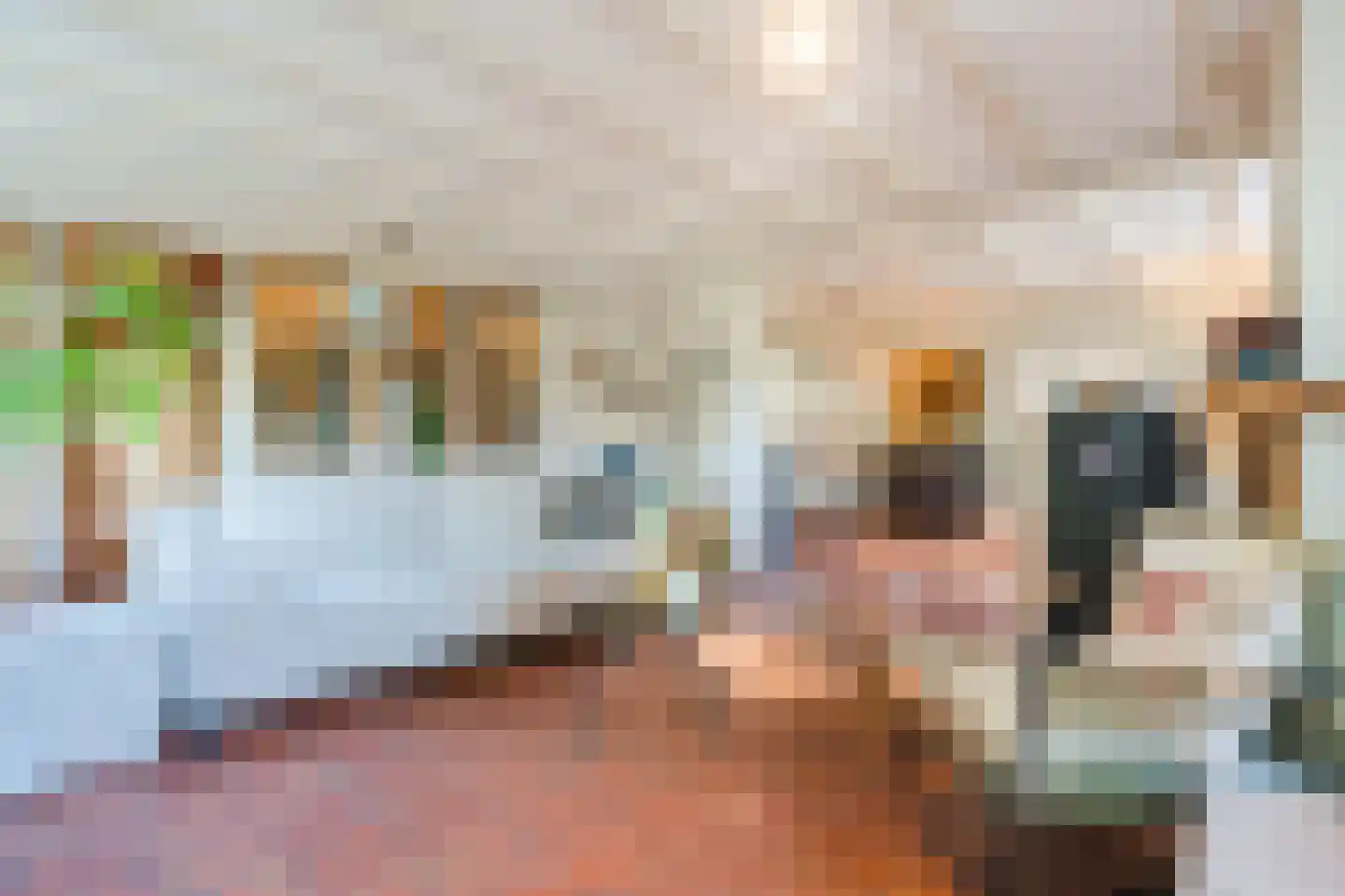 Langstraat 3 Venhorst thumbnail 7
