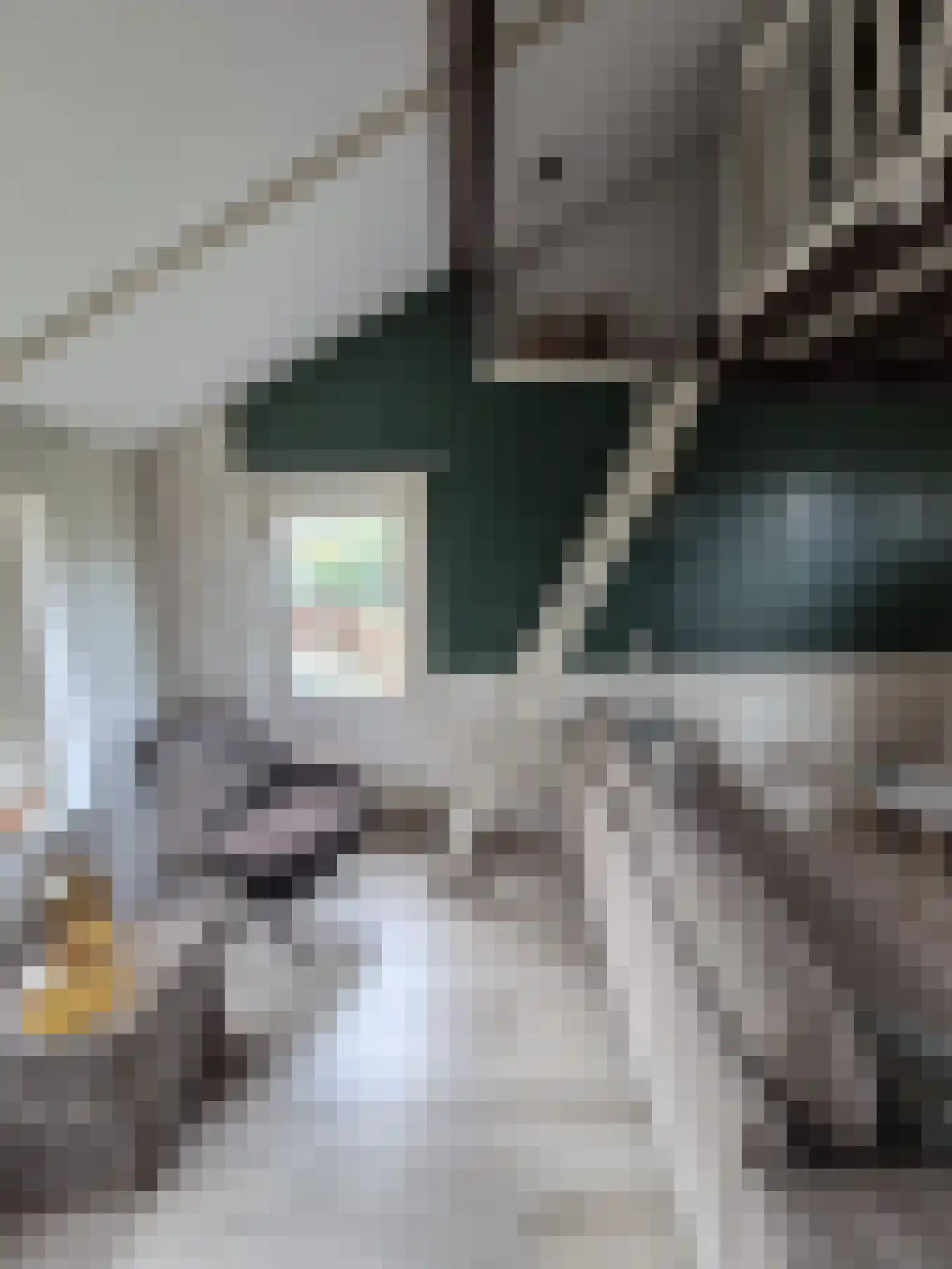 Langstraat 3 Venhorst thumbnail 72