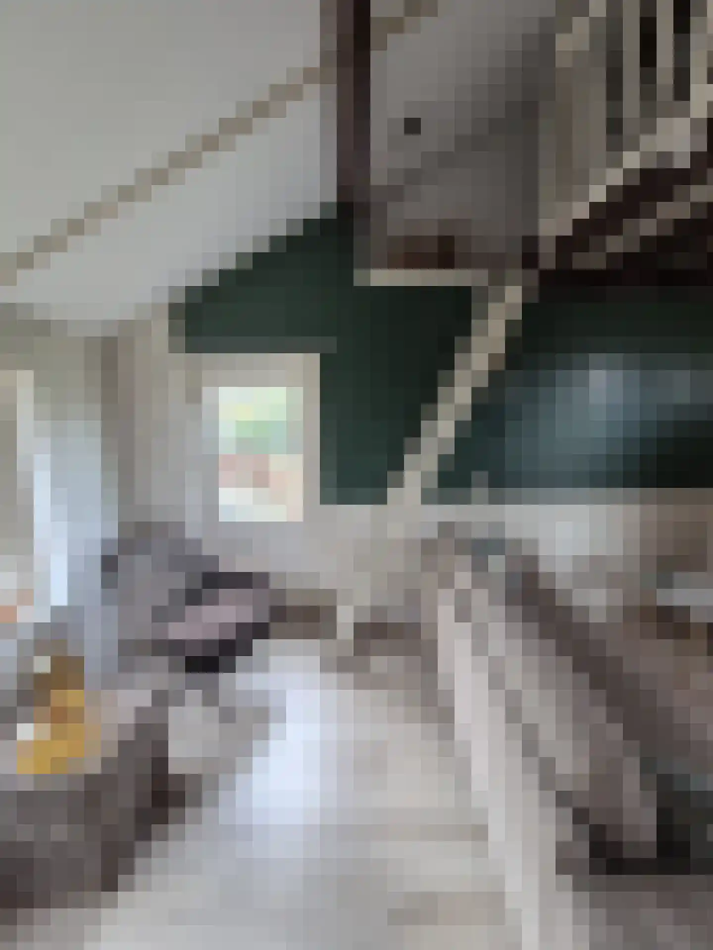 Langstraat 3 Venhorst thumbnail 72