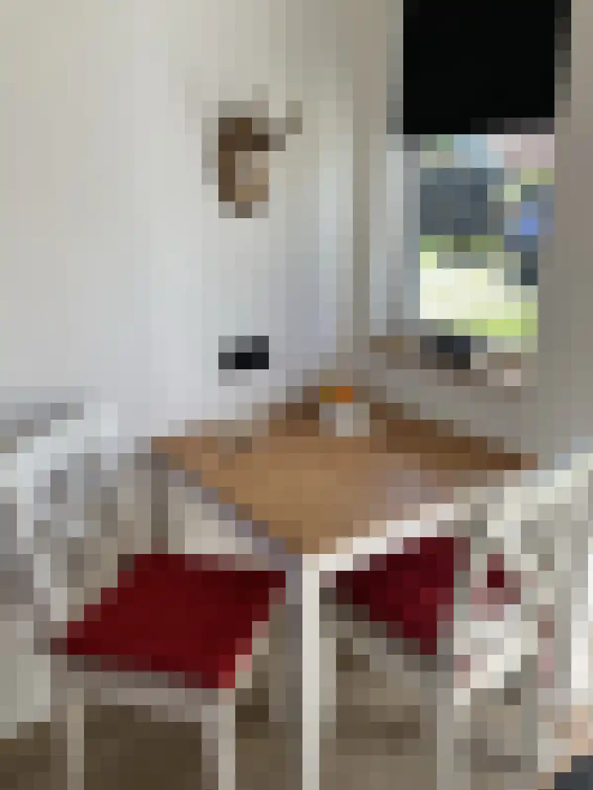 Langstraat 3 Venhorst thumbnail 77