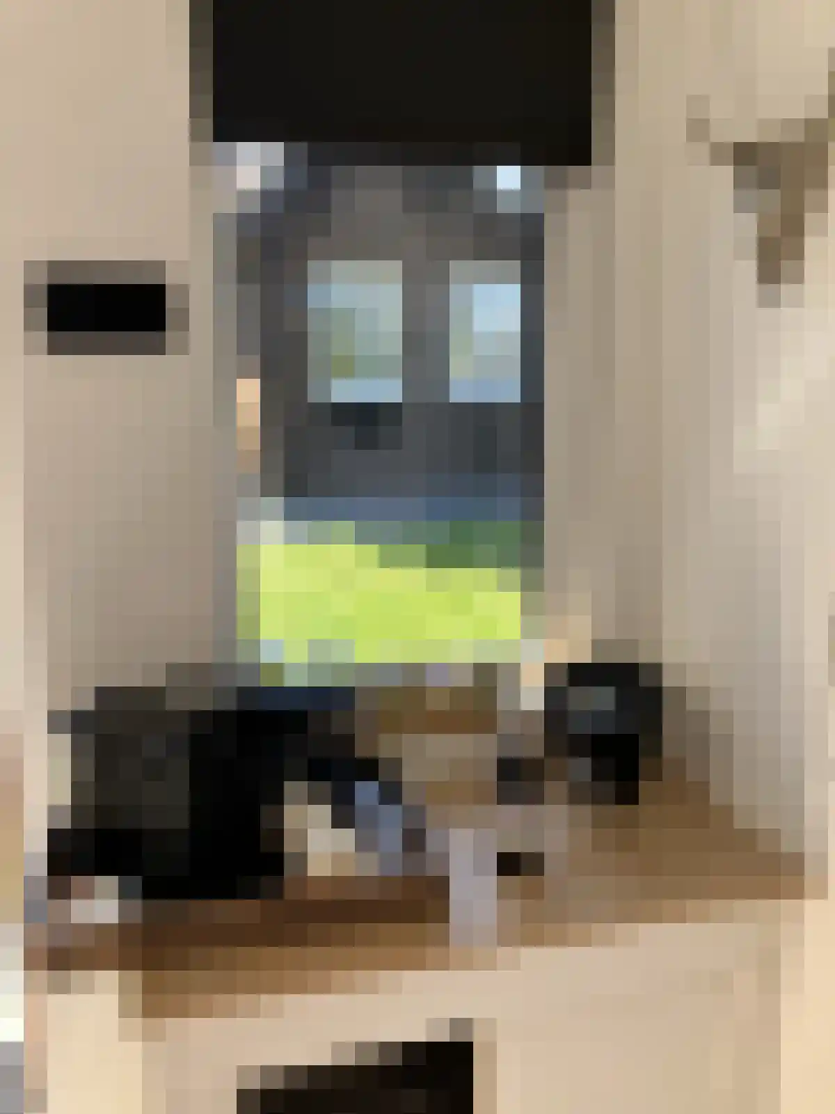 Langstraat 3 Venhorst thumbnail 78