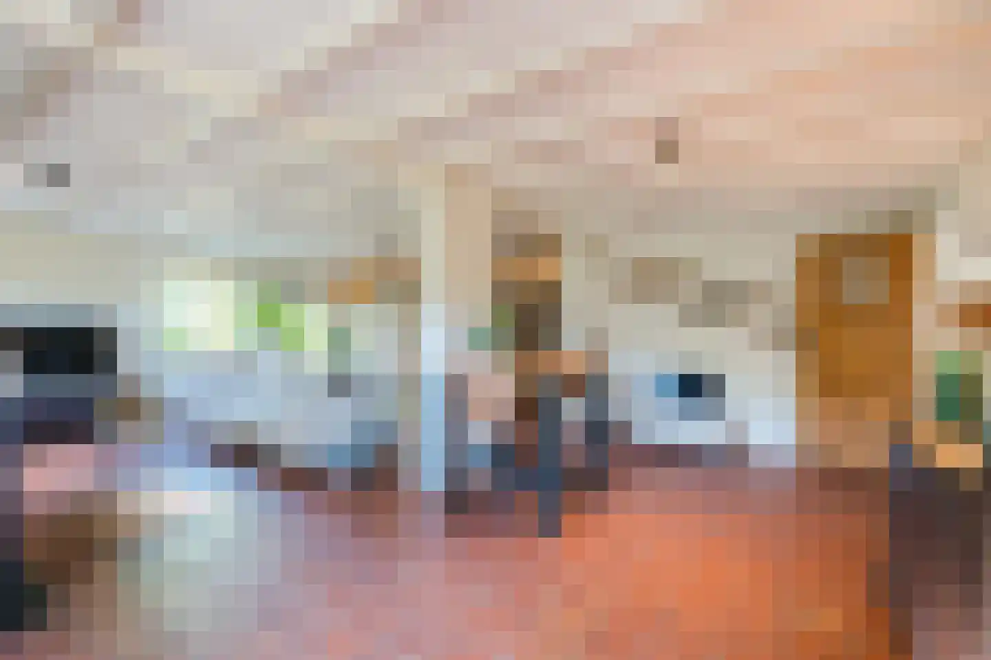 Langstraat 3 Venhorst thumbnail 8