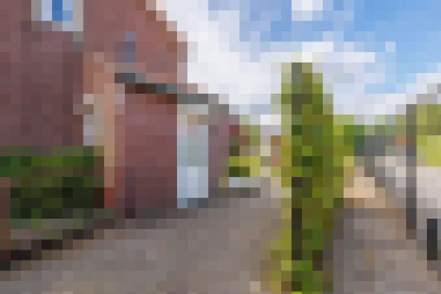 Langstraat 31 Milsbeek thumbnail 32
