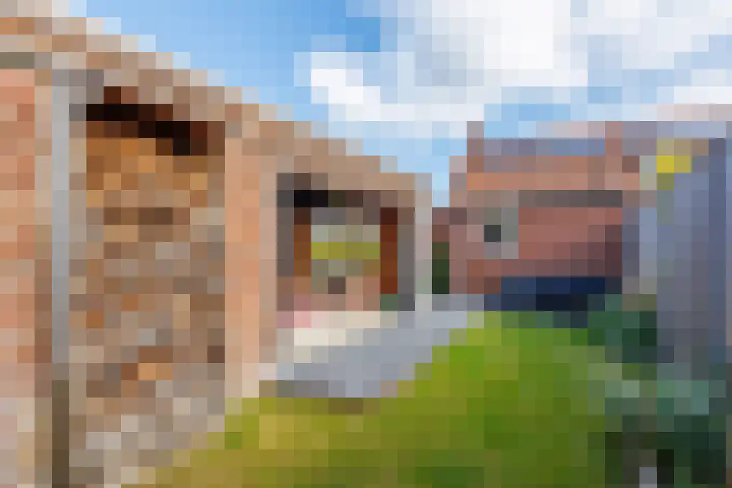 Langstraat 31 Milsbeek thumbnail 44