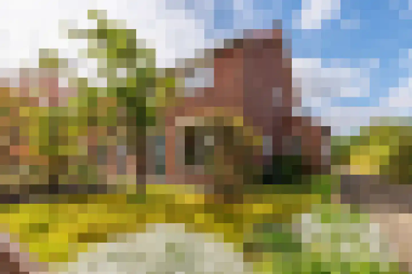 Langstraat 31 Milsbeek thumbnail 52