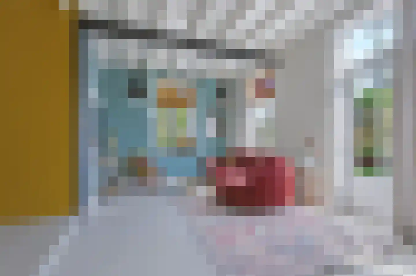 Langstraat 32 Gaanderen thumbnail 12