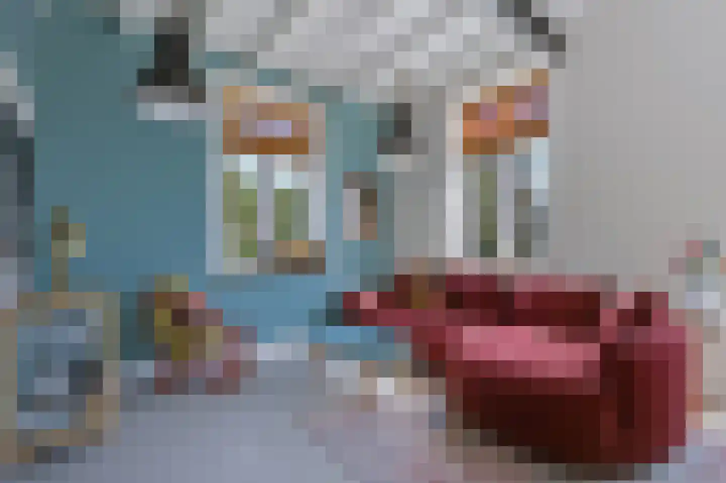 Langstraat 32 Gaanderen thumbnail 14