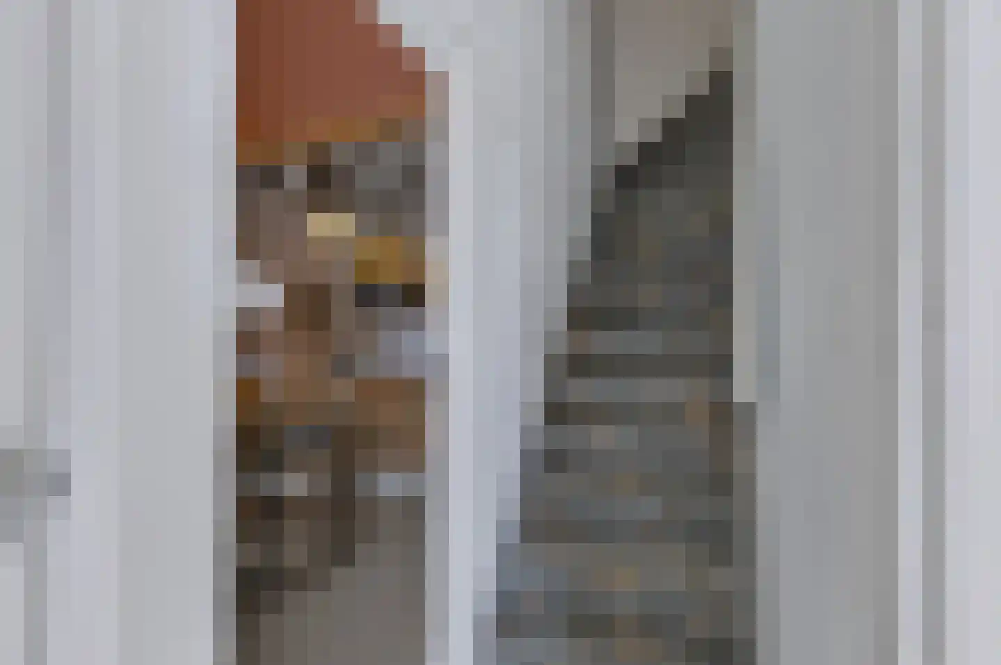 Langstraat 32 Gaanderen thumbnail 25