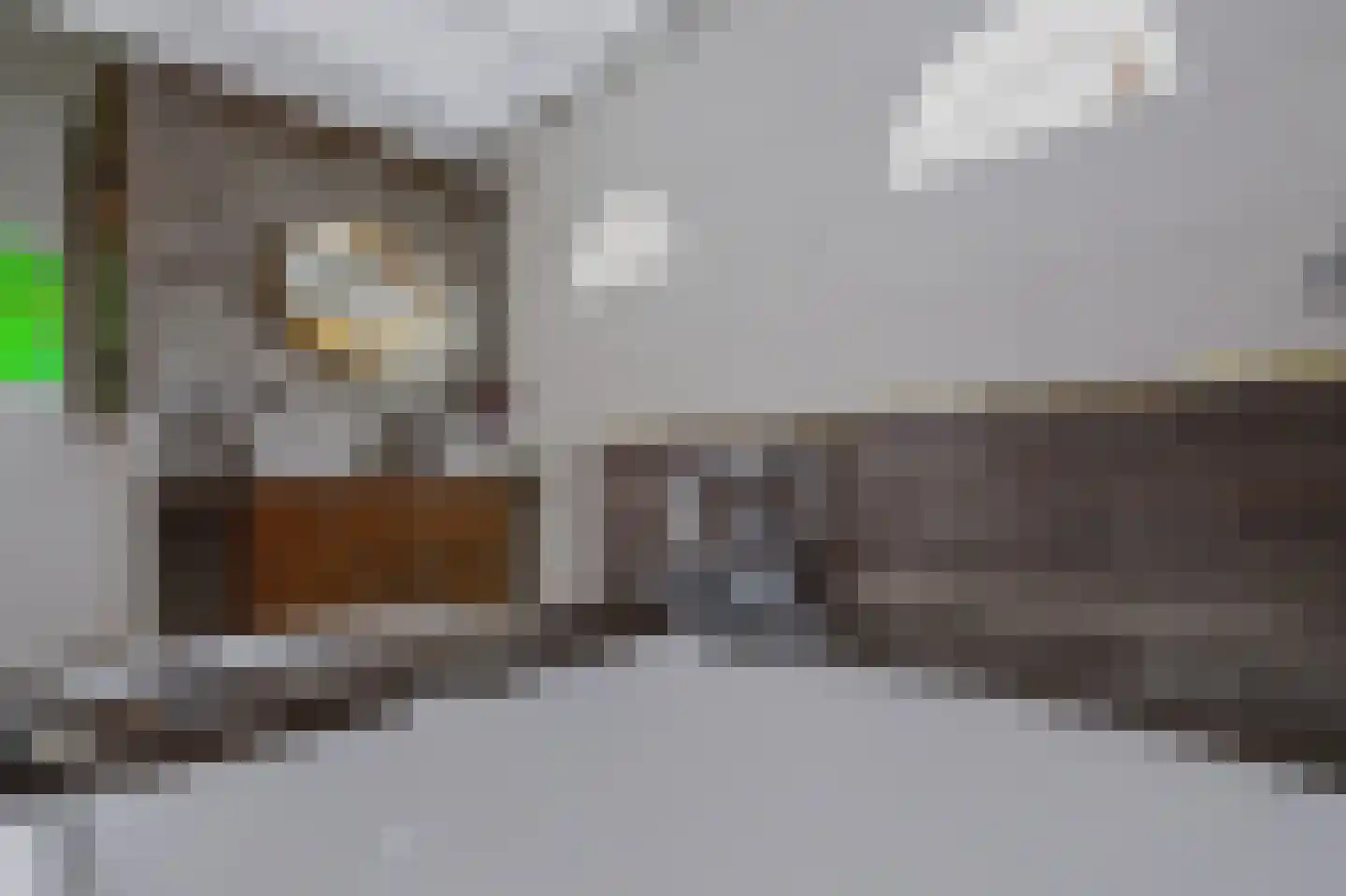 Langstraat 32 Gaanderen thumbnail 44