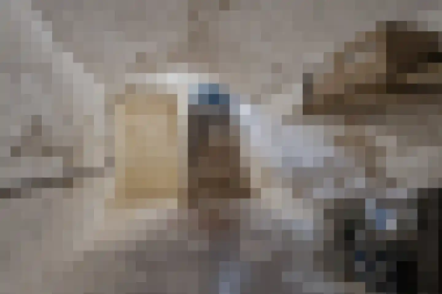 Langstraat 32 Gaanderen thumbnail 46