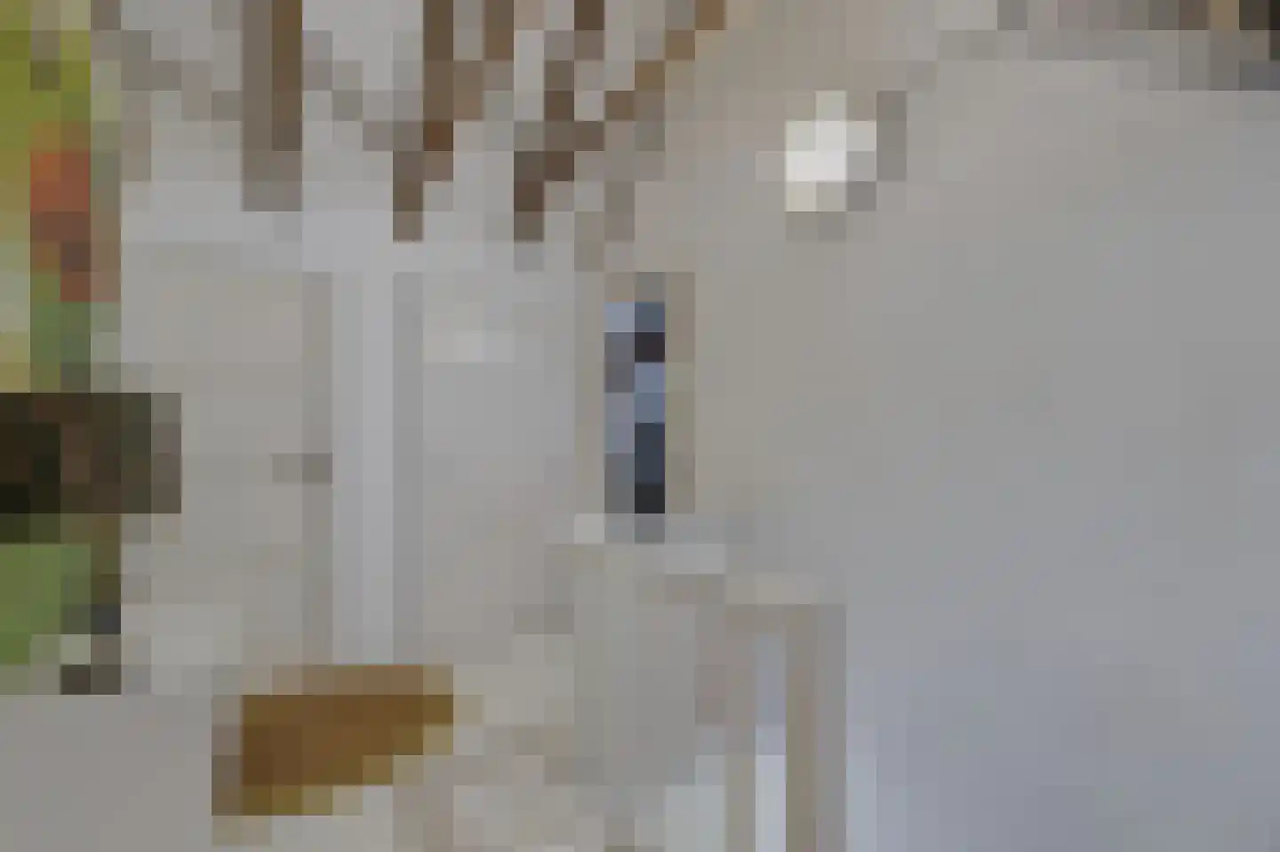 Langstraat 32 Gaanderen thumbnail 47