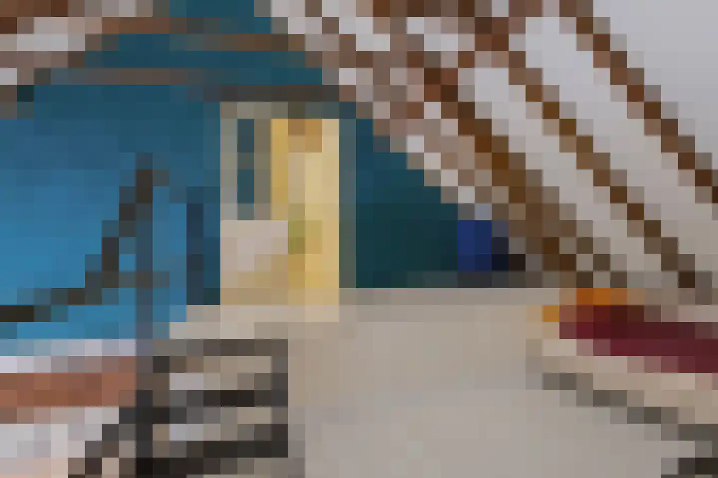Langstraat 32 Gaanderen thumbnail 55