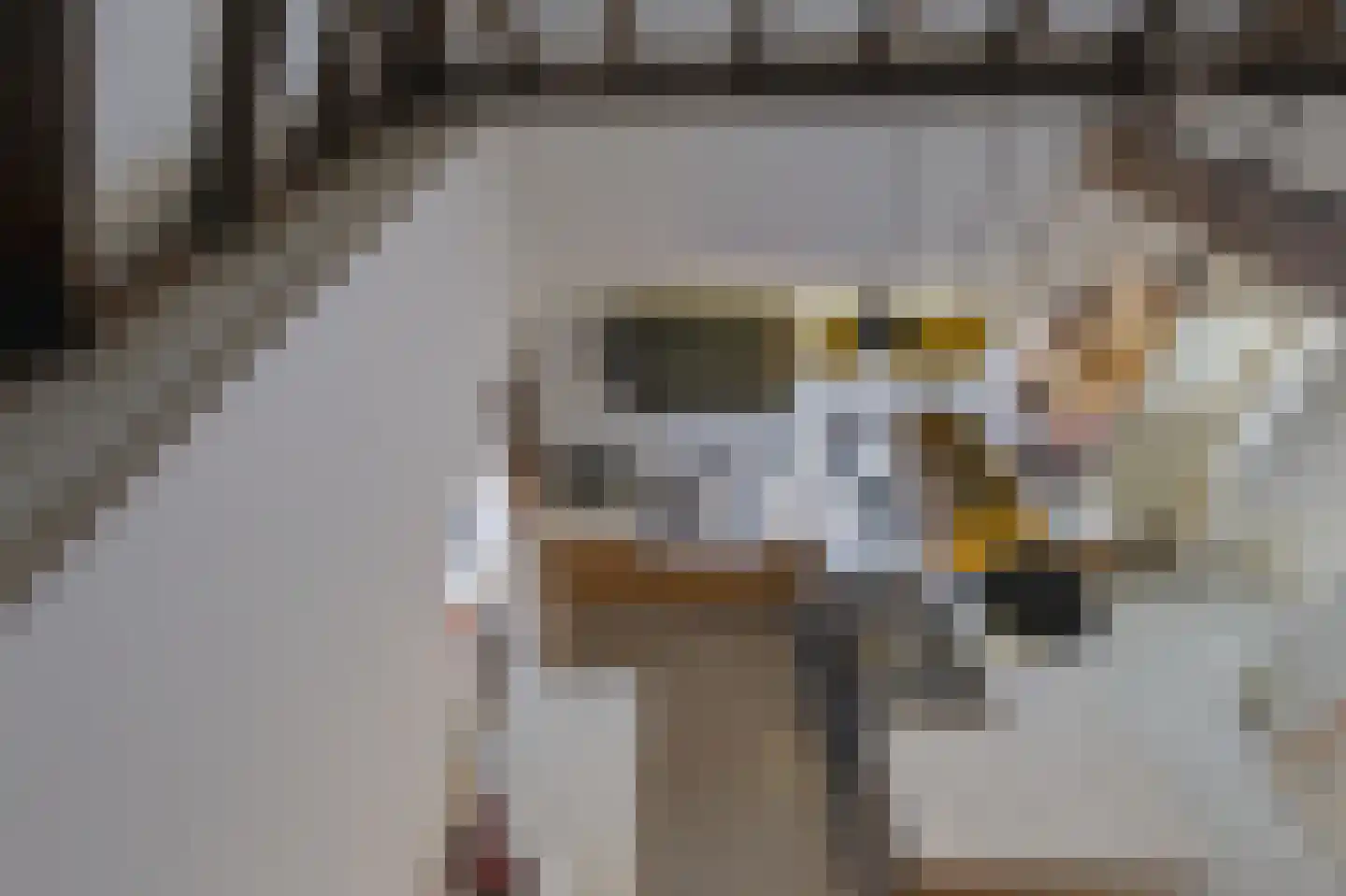 Langstraat 32 Gaanderen thumbnail 56