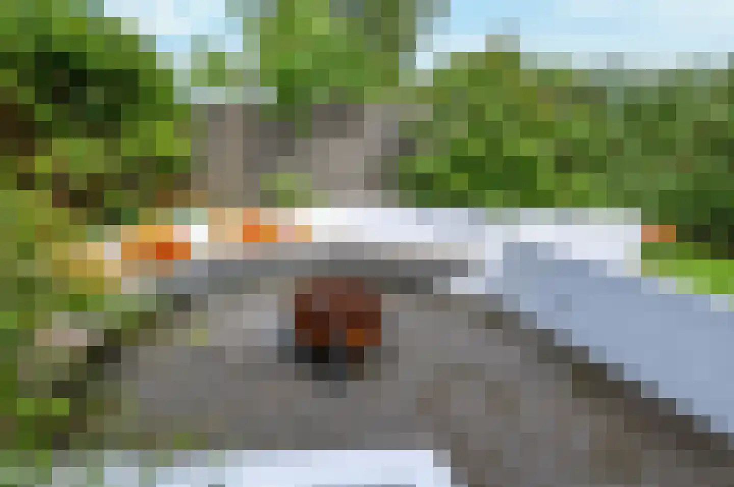 Langstraat 32 Gaanderen thumbnail 69