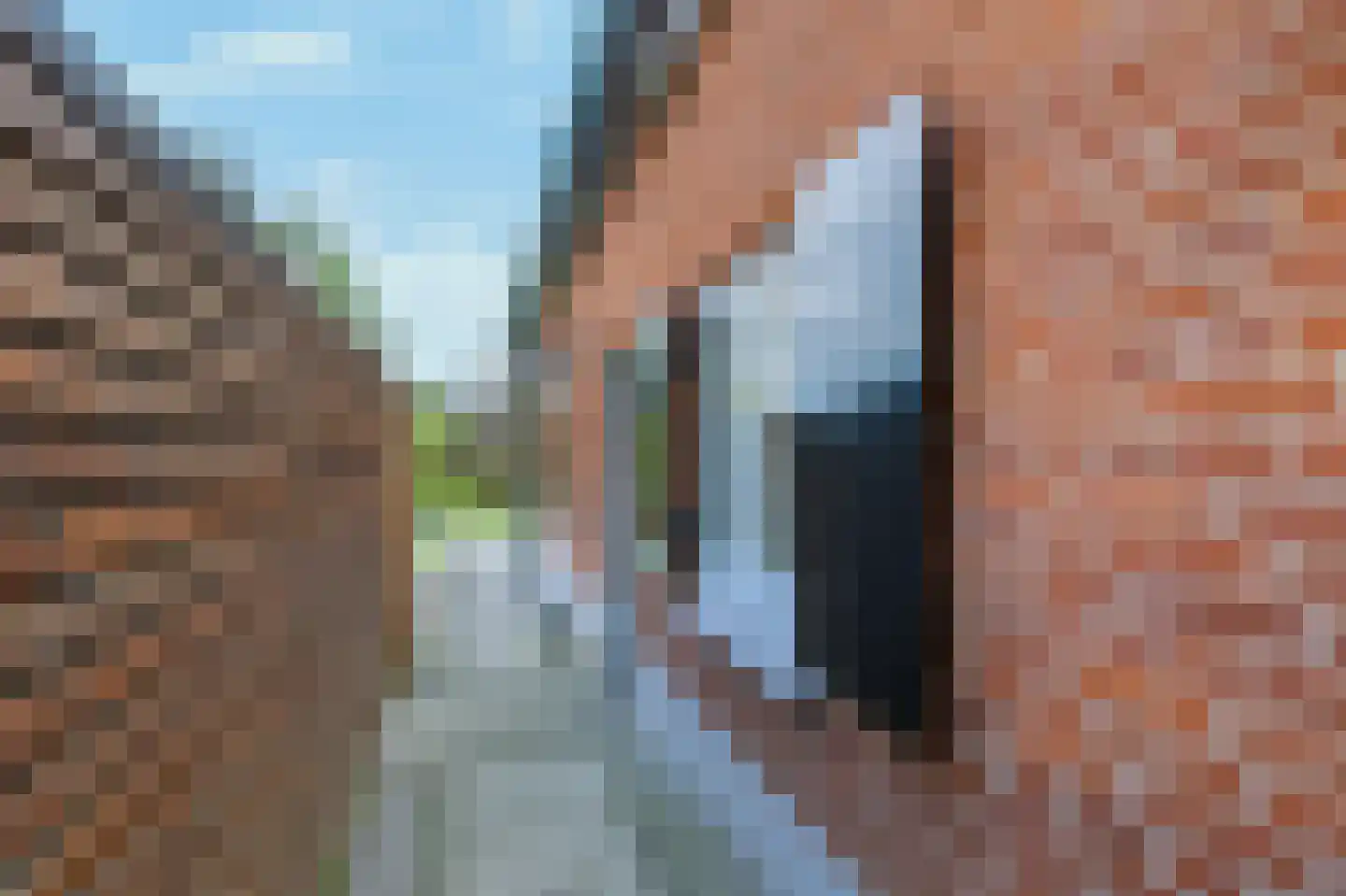 Langstraat 32 Gaanderen thumbnail 73
