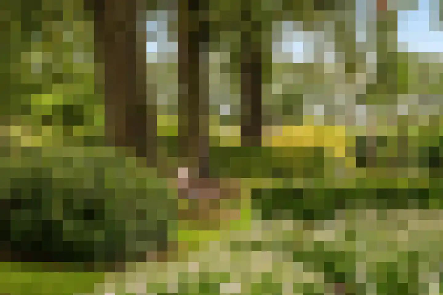 Langstraat 32 Holten thumbnail 35