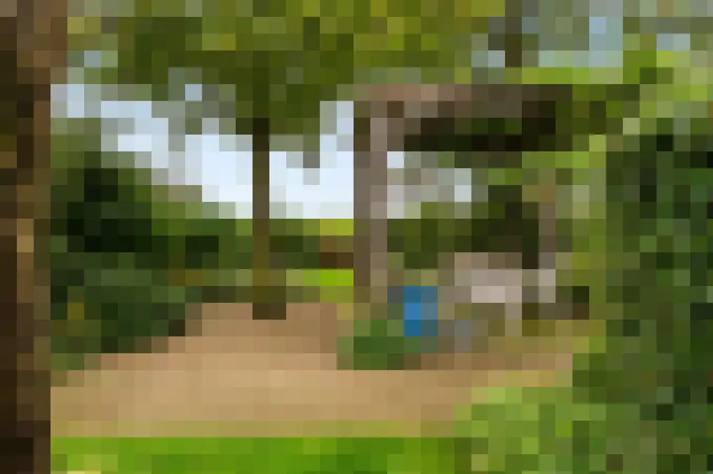 Langstraat 32 Holten thumbnail 37