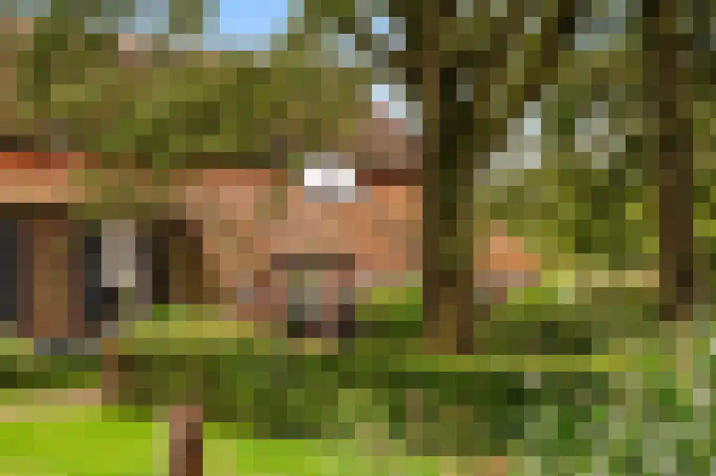 Langstraat 32 Holten thumbnail 39