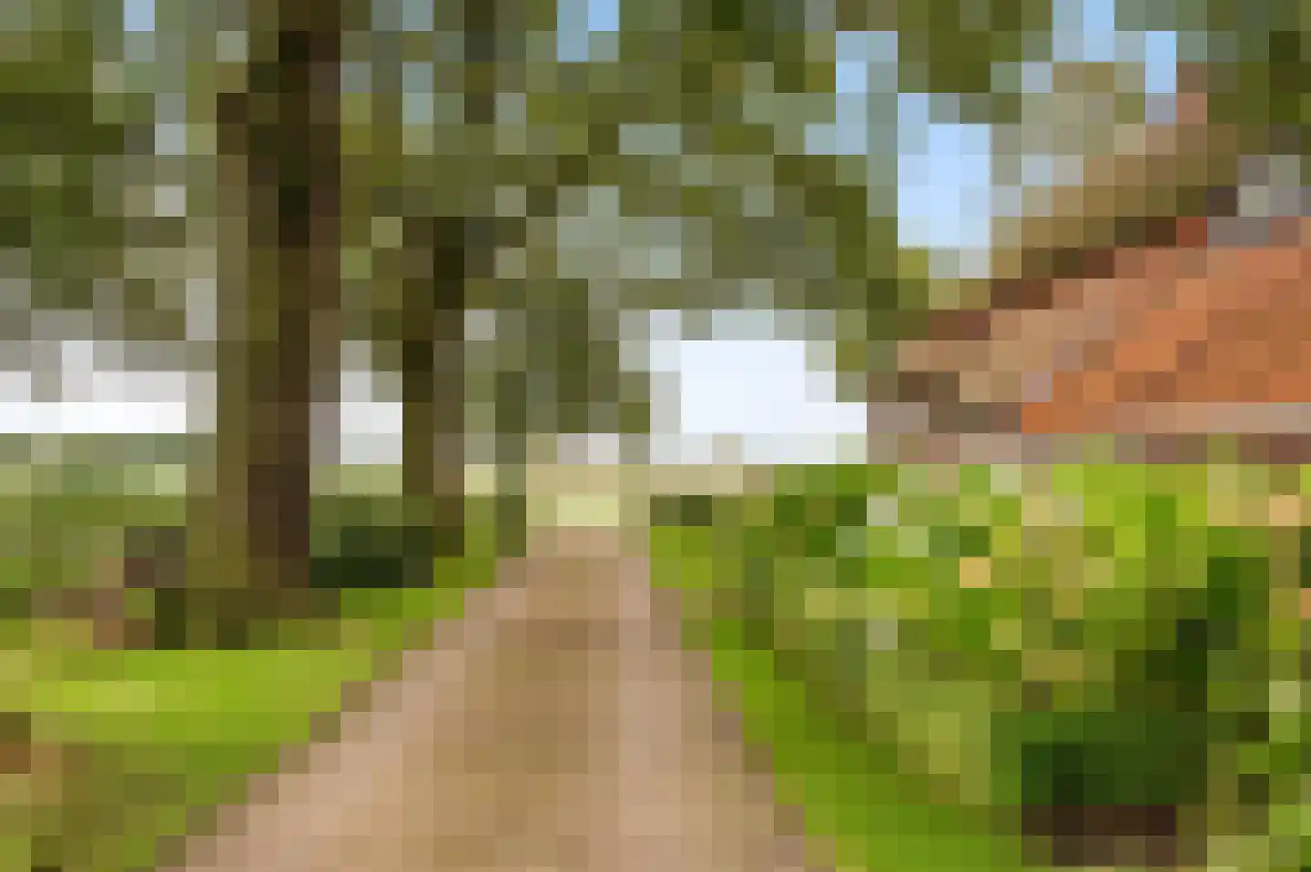 Langstraat 32 Holten thumbnail 40