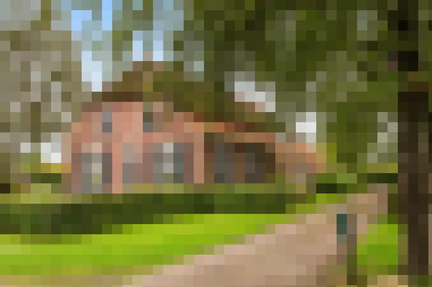 Langstraat 32 Holten thumbnail 41