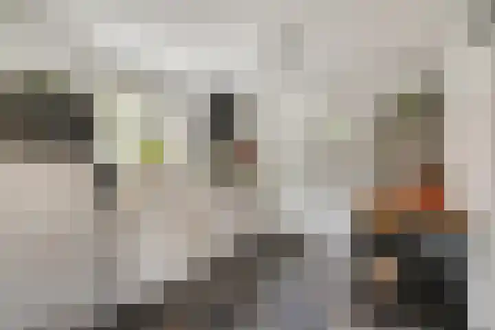Langstraat 33 Asten thumbnail 11