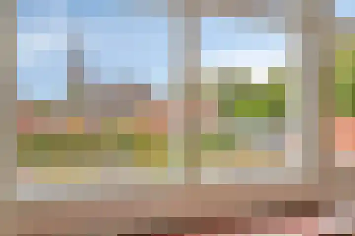 Langstraat 33 Asten thumbnail 18