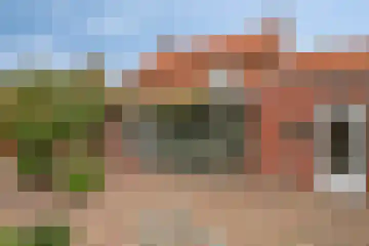 Langstraat 33 Asten thumbnail 34