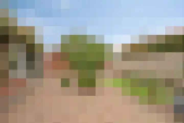 Langstraat 33 Asten thumbnail 36