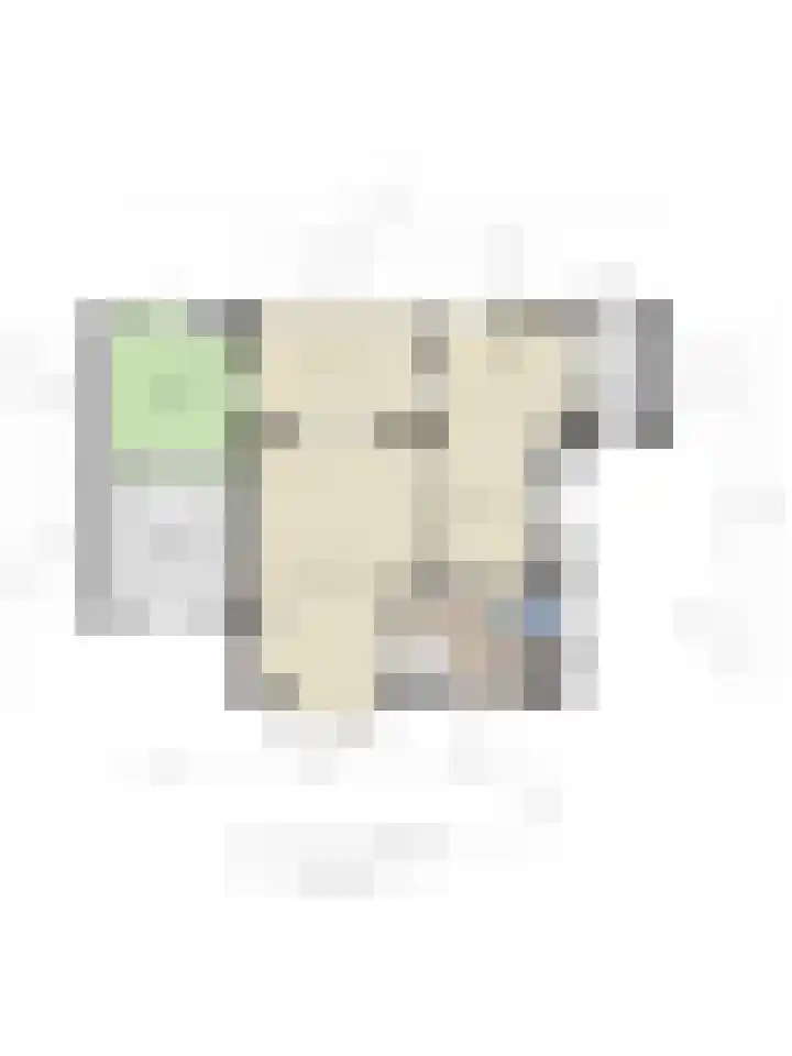 Langstraat 33 Asten thumbnail 39