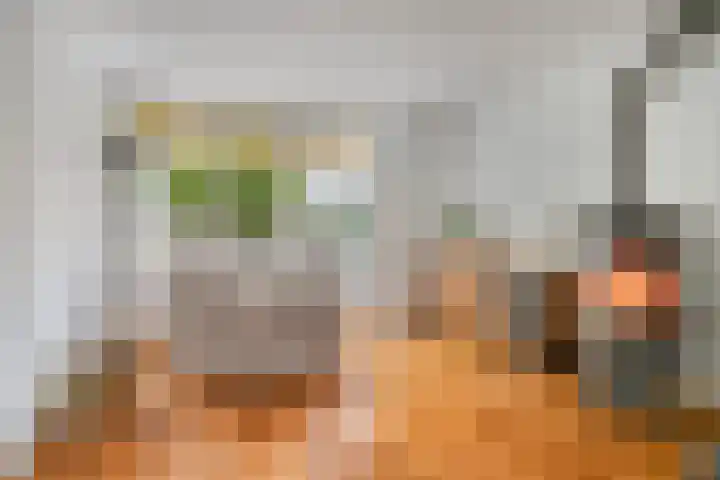 Langstraat 33 Asten thumbnail 6