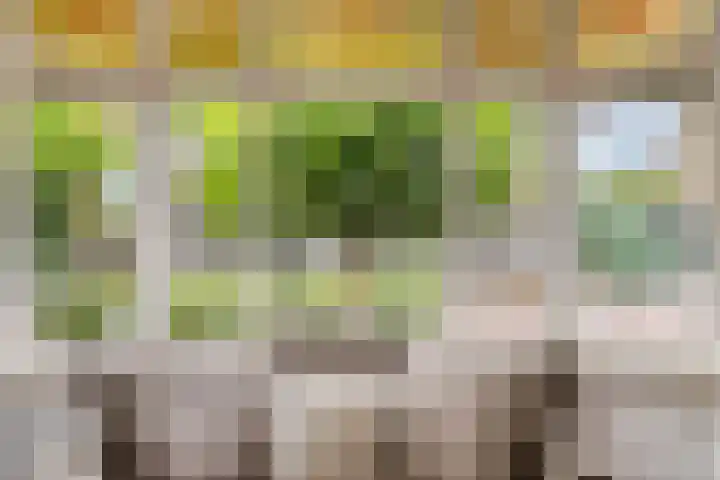 Langstraat 33 Asten thumbnail 9