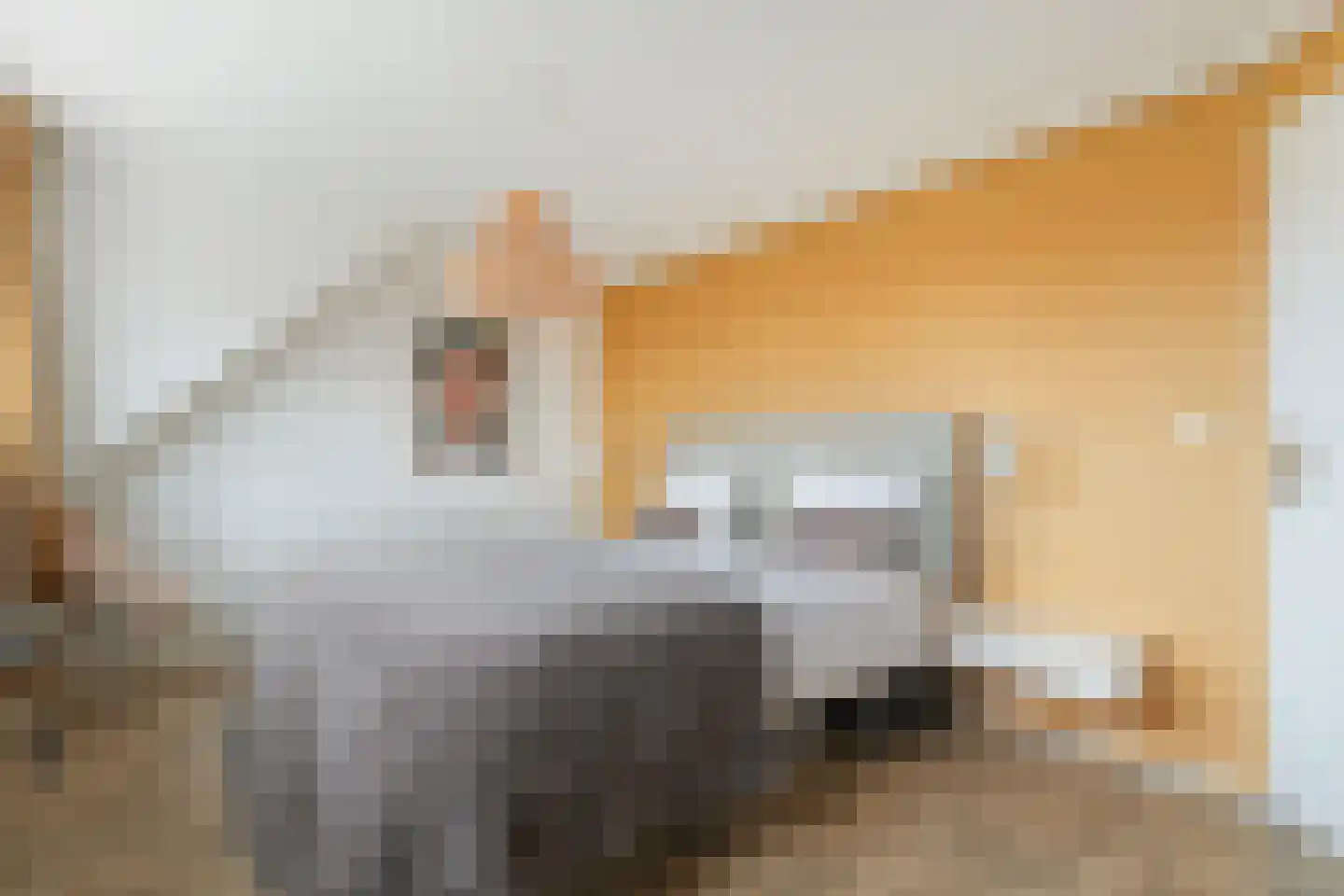Langstraat 35 Zoutelande thumbnail 18