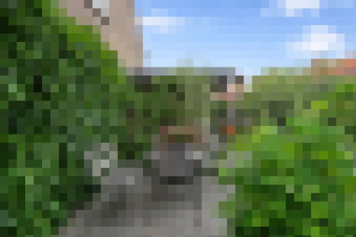 Langstraat 35 Zoutelande thumbnail 28