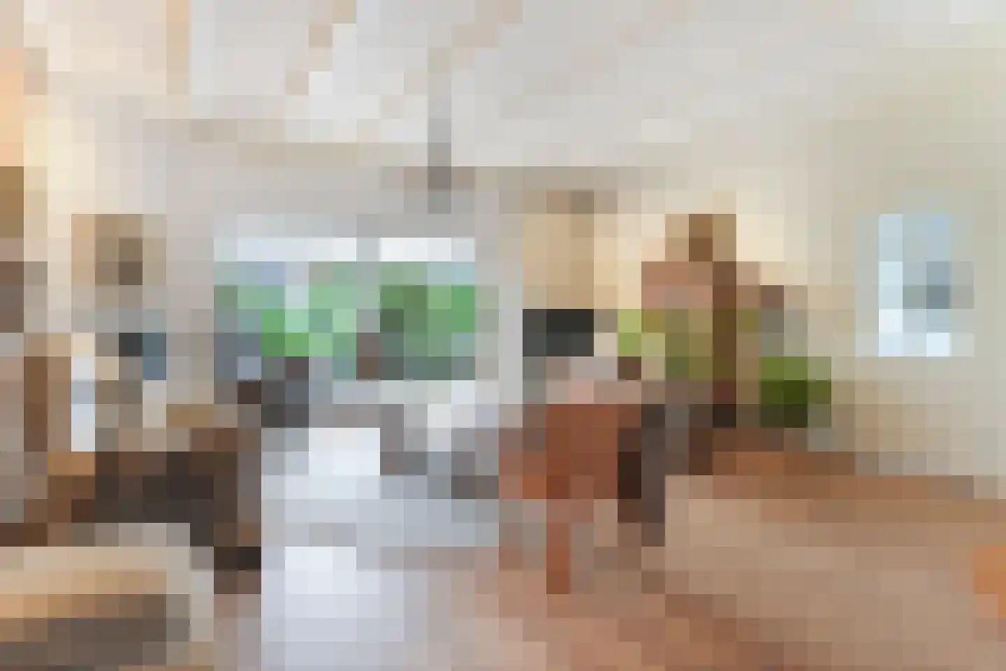 Langstraat 35 Zoutelande thumbnail 5