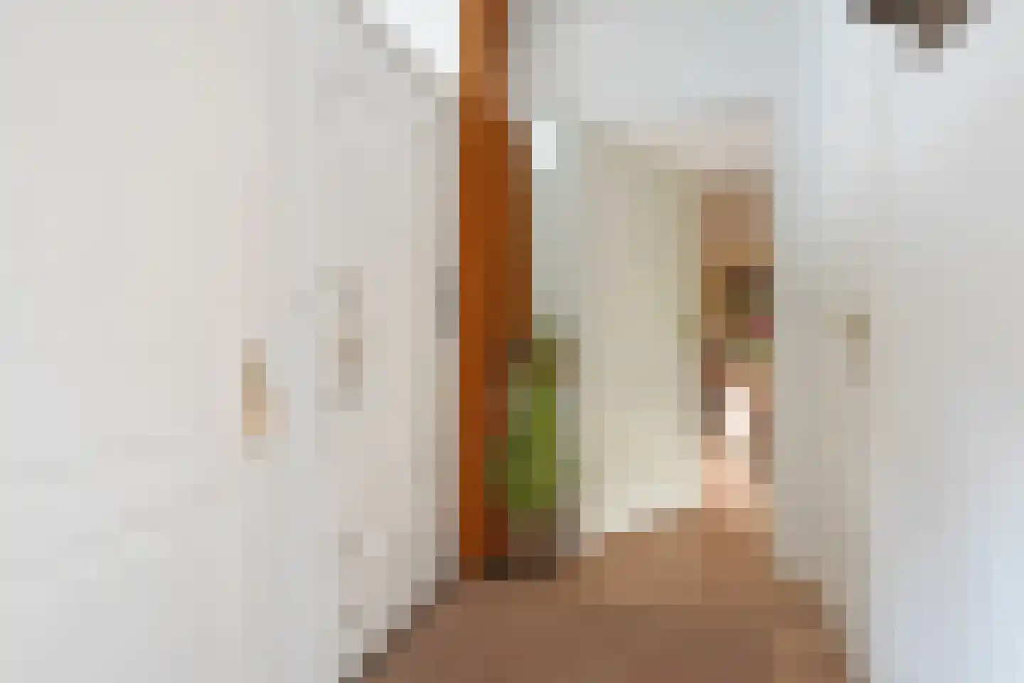 Langstraat 35 Zoutelande thumbnail 5