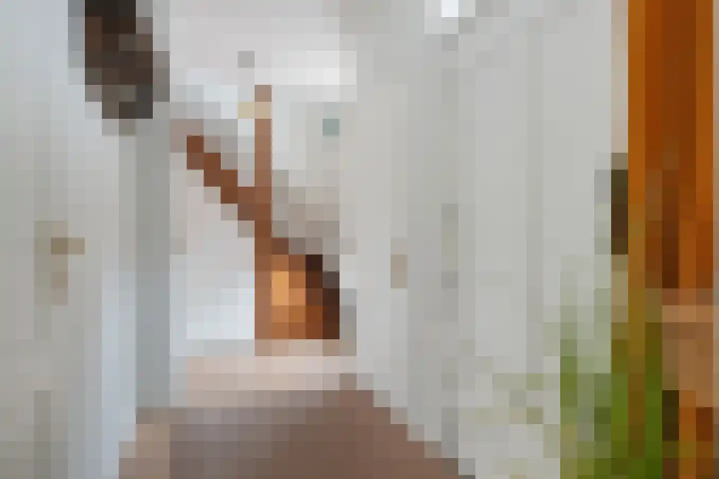 Langstraat 35 Zoutelande thumbnail 6