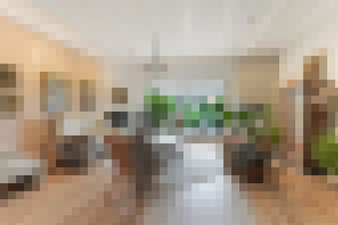 Langstraat 35 Zoutelande thumbnail 6