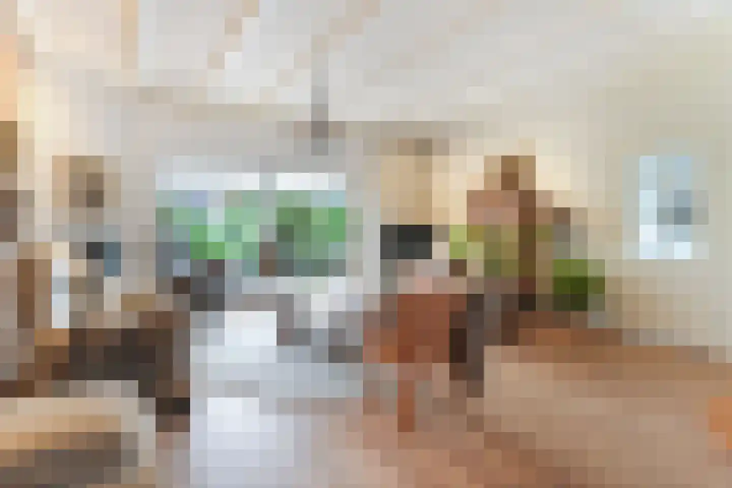 Langstraat 35 Zoutelande thumbnail 7