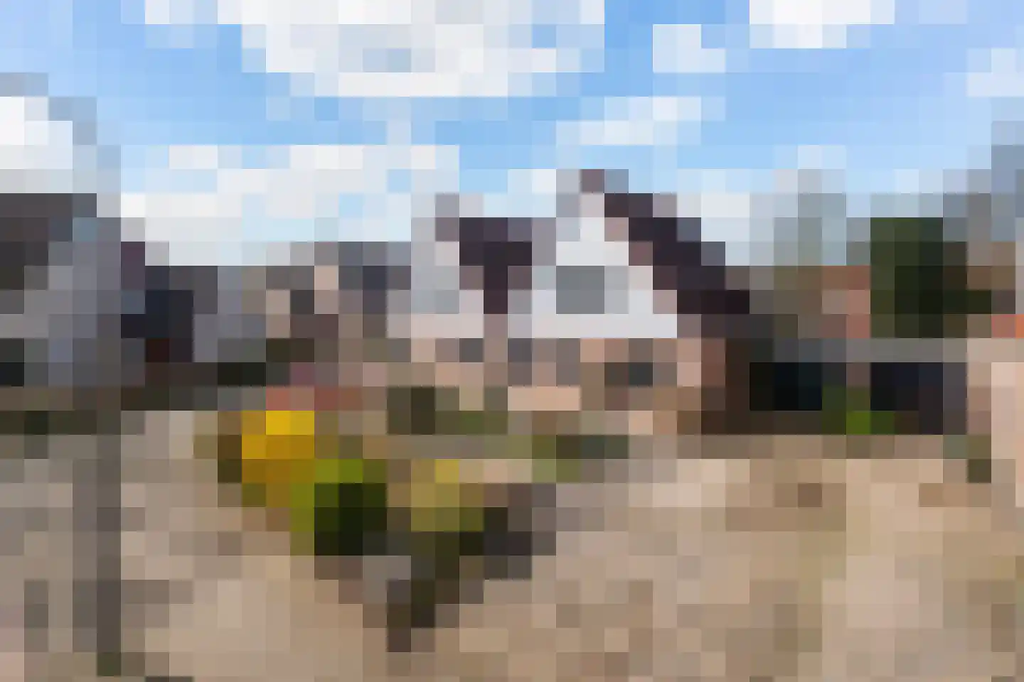 Langstraat 38 A Dronten thumbnail 37