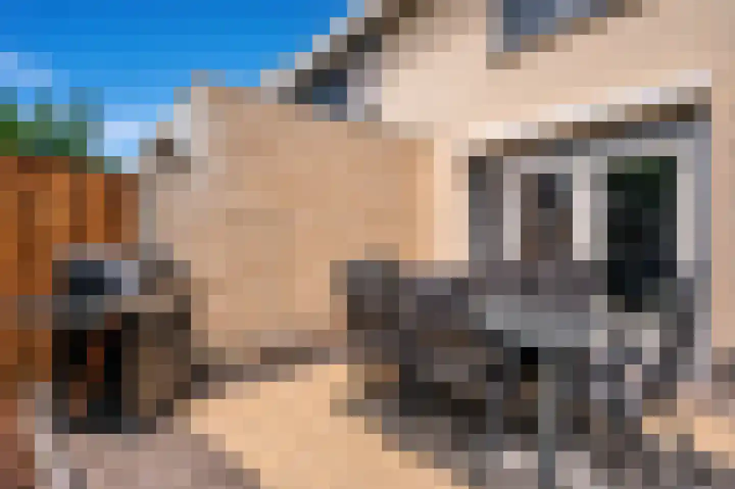 Langstraat 38 Venlo thumbnail 38