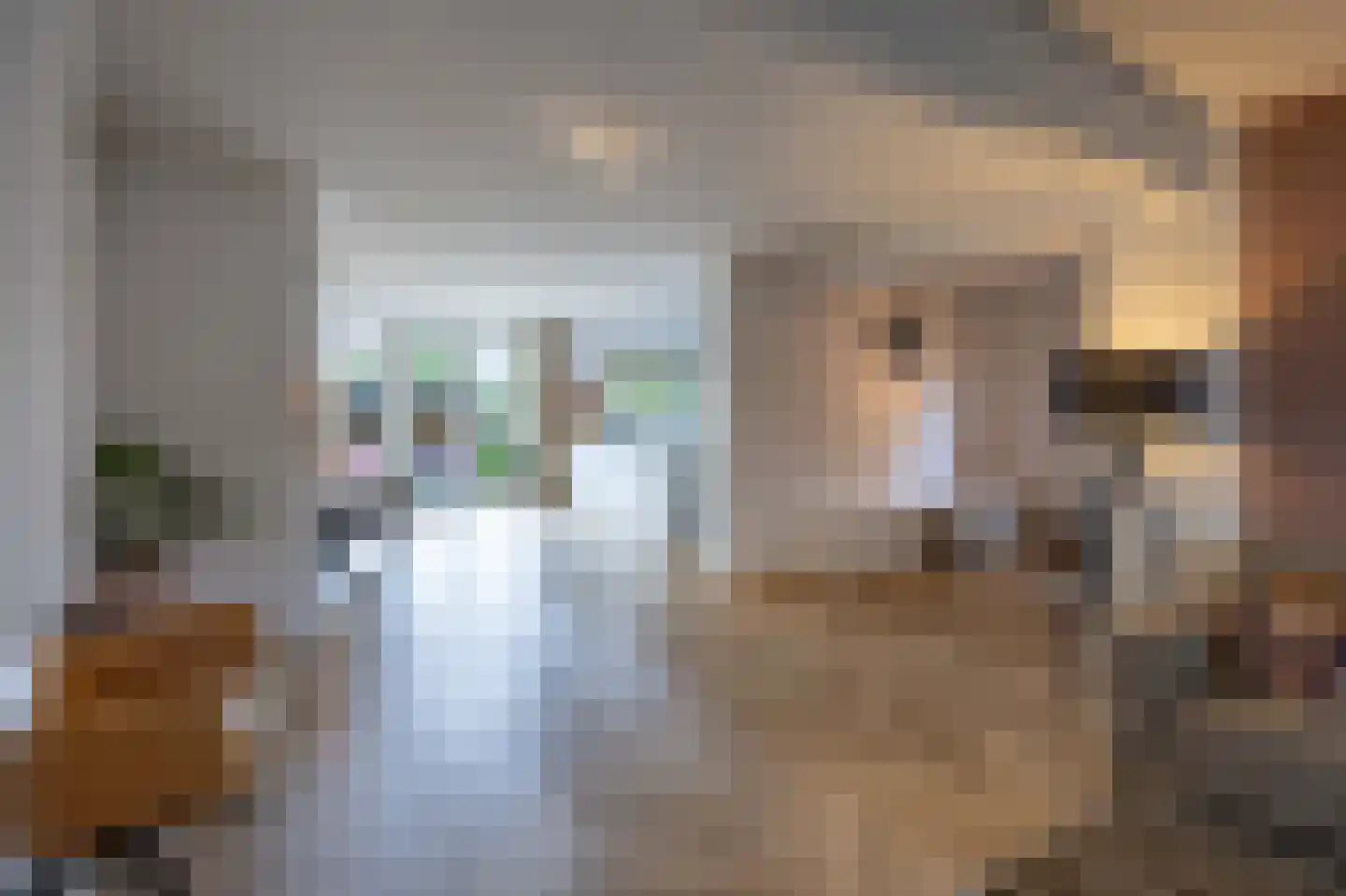 Langstraat 38 Venray thumbnail 16