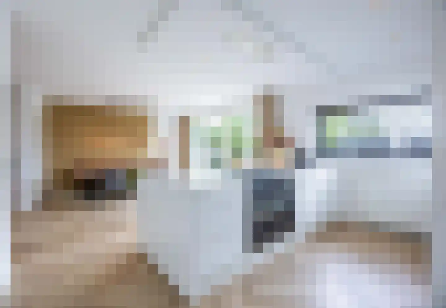 Langstraat 38 Venray thumbnail 21