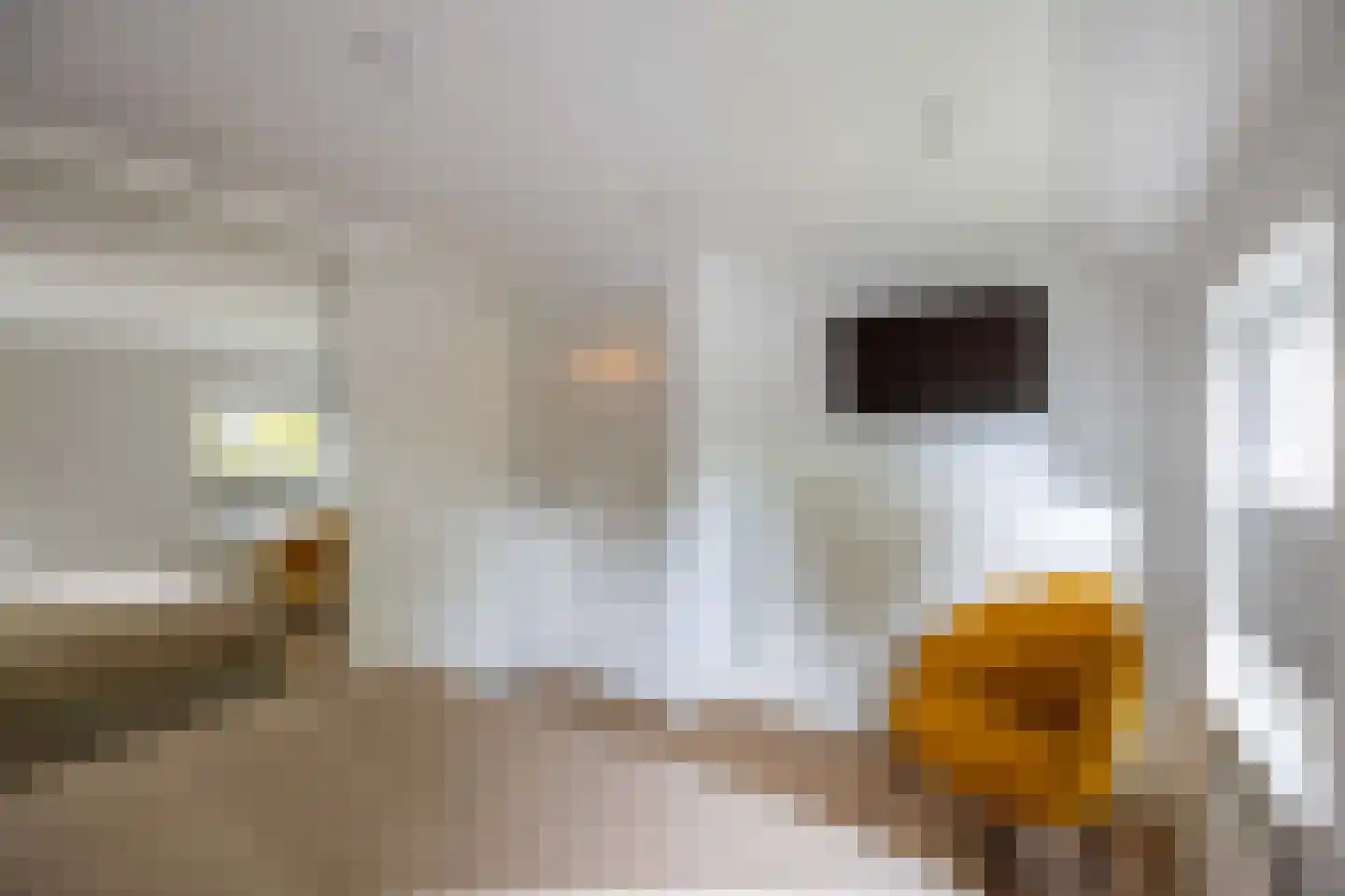 Langstraat 38 Venray thumbnail 30