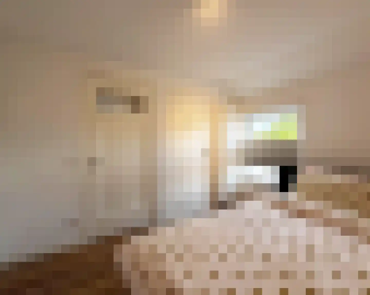 Langstraat 38 Venray thumbnail 34