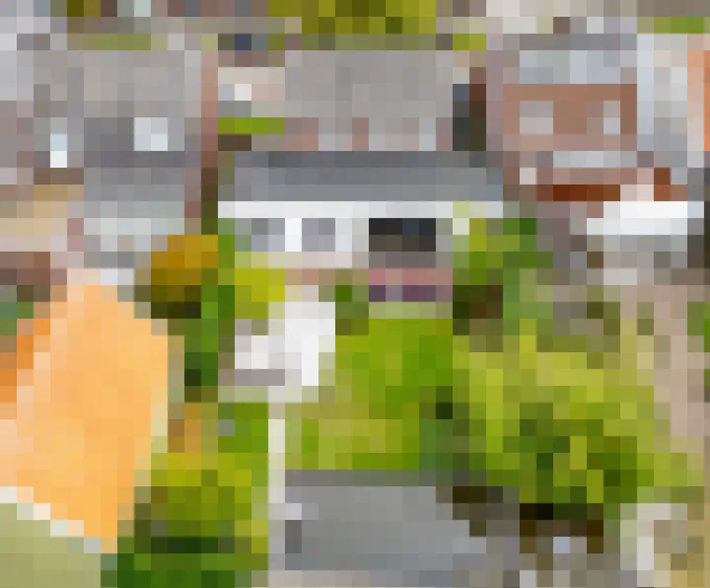 Langstraat 38 Venray thumbnail 38