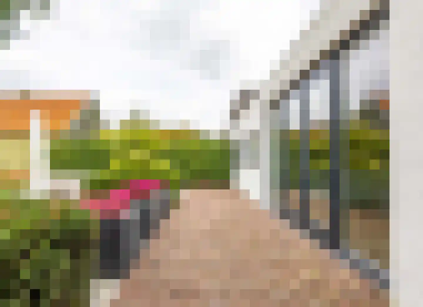 Langstraat 38 Venray thumbnail 40