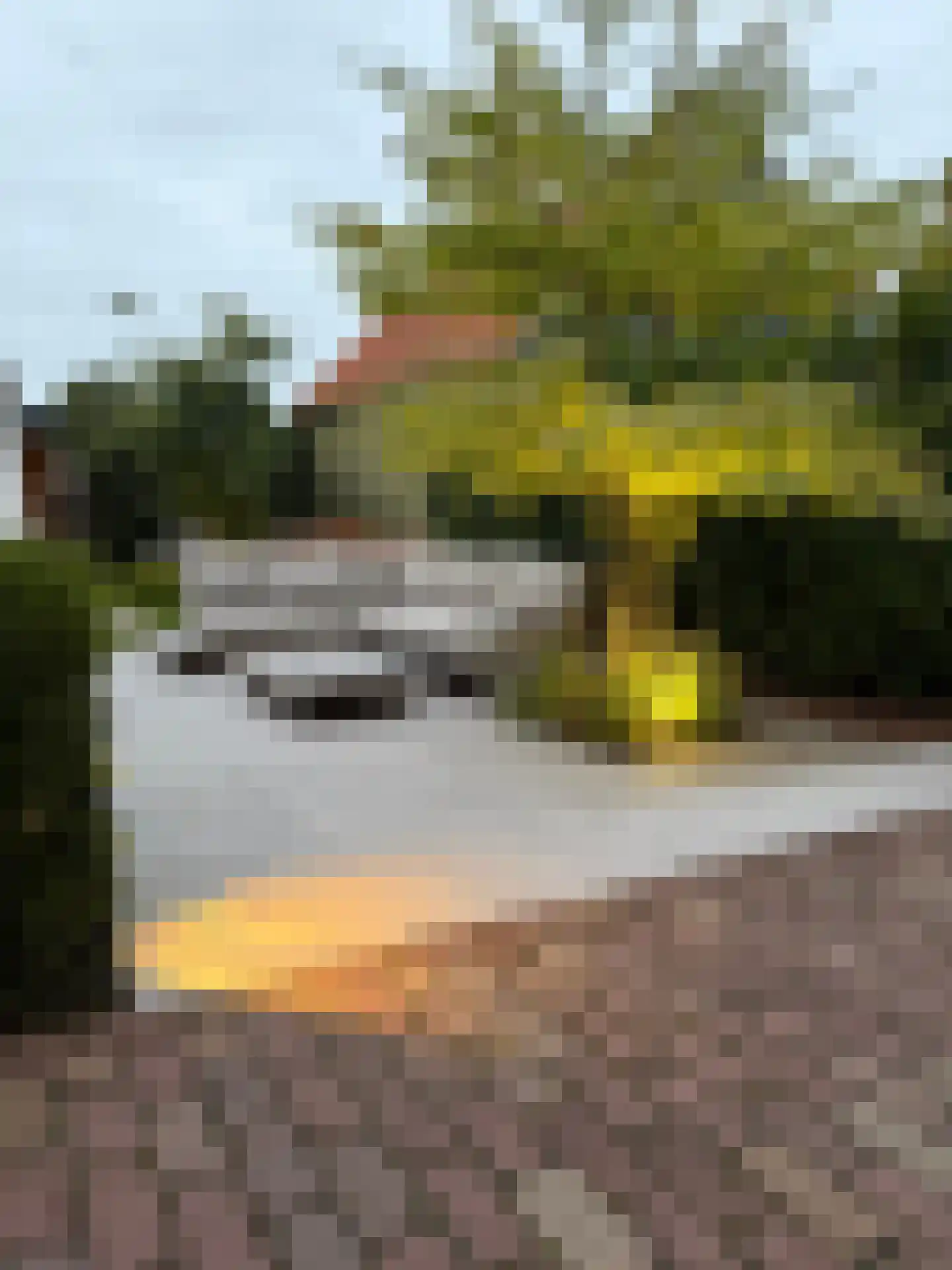Langstraat 38 Venray thumbnail 44