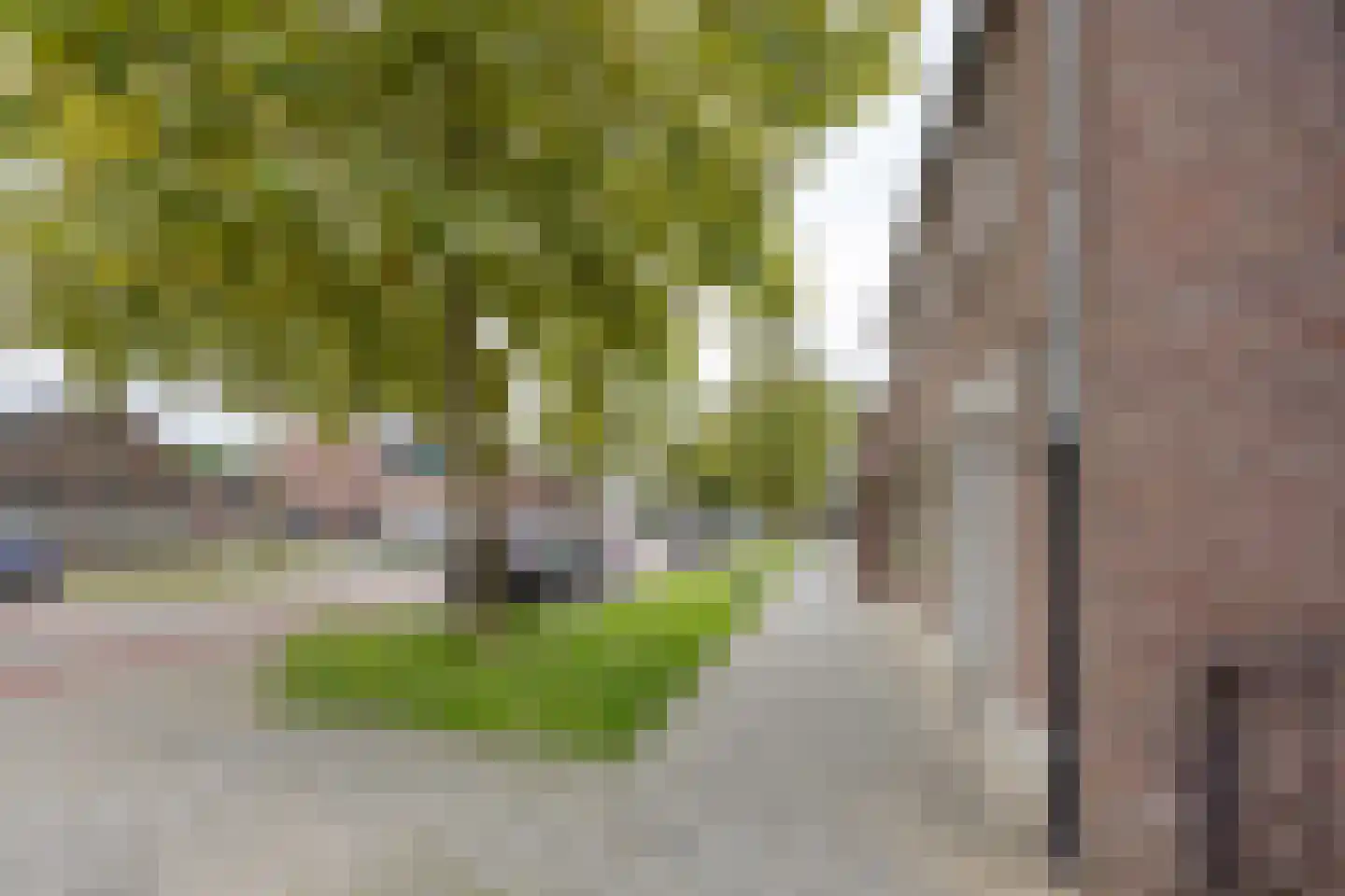 Langstraat 38 Venray thumbnail 47
