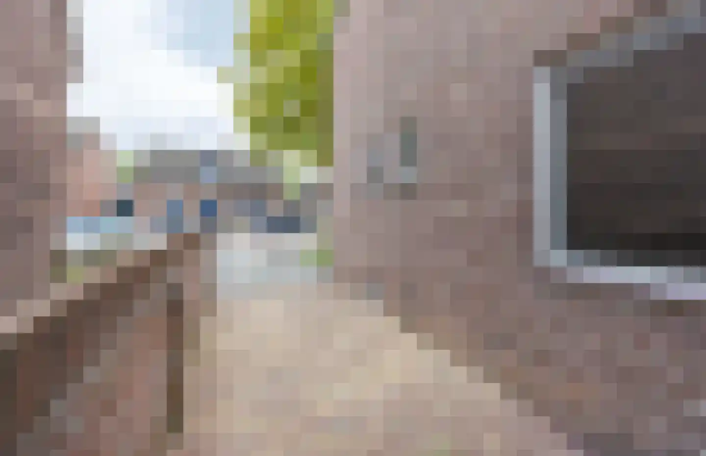 Langstraat 38 Venray thumbnail 48